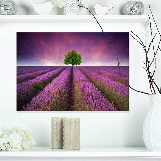 Designart - Lavender Field Sunset with Single Tree